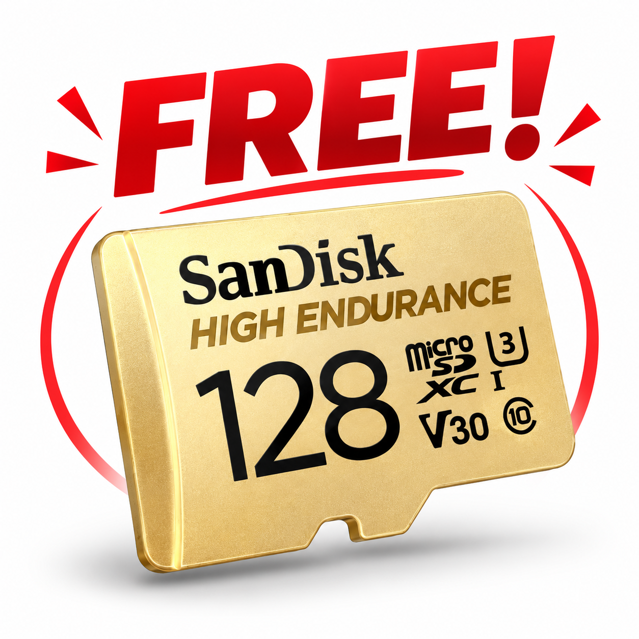 SD Card High Endurance